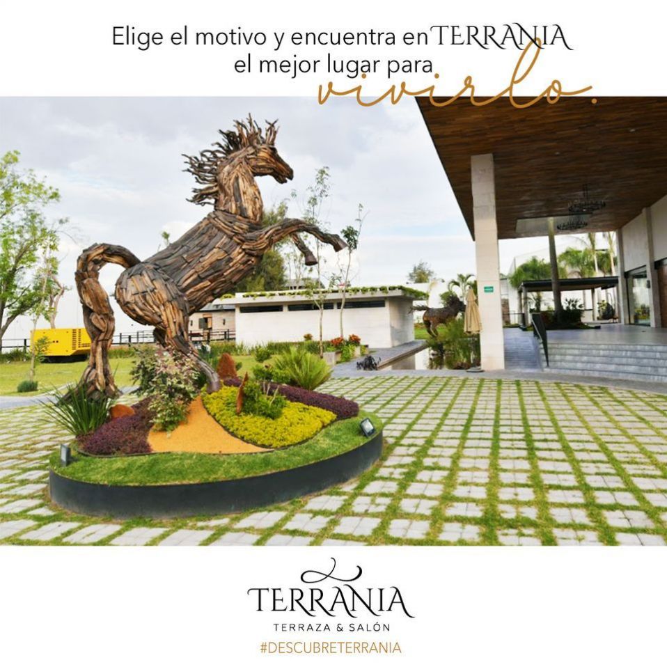 Terrania Terraza & Salón_002